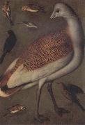 Ludger tom Ring Great Bustard Cock oil on canvas